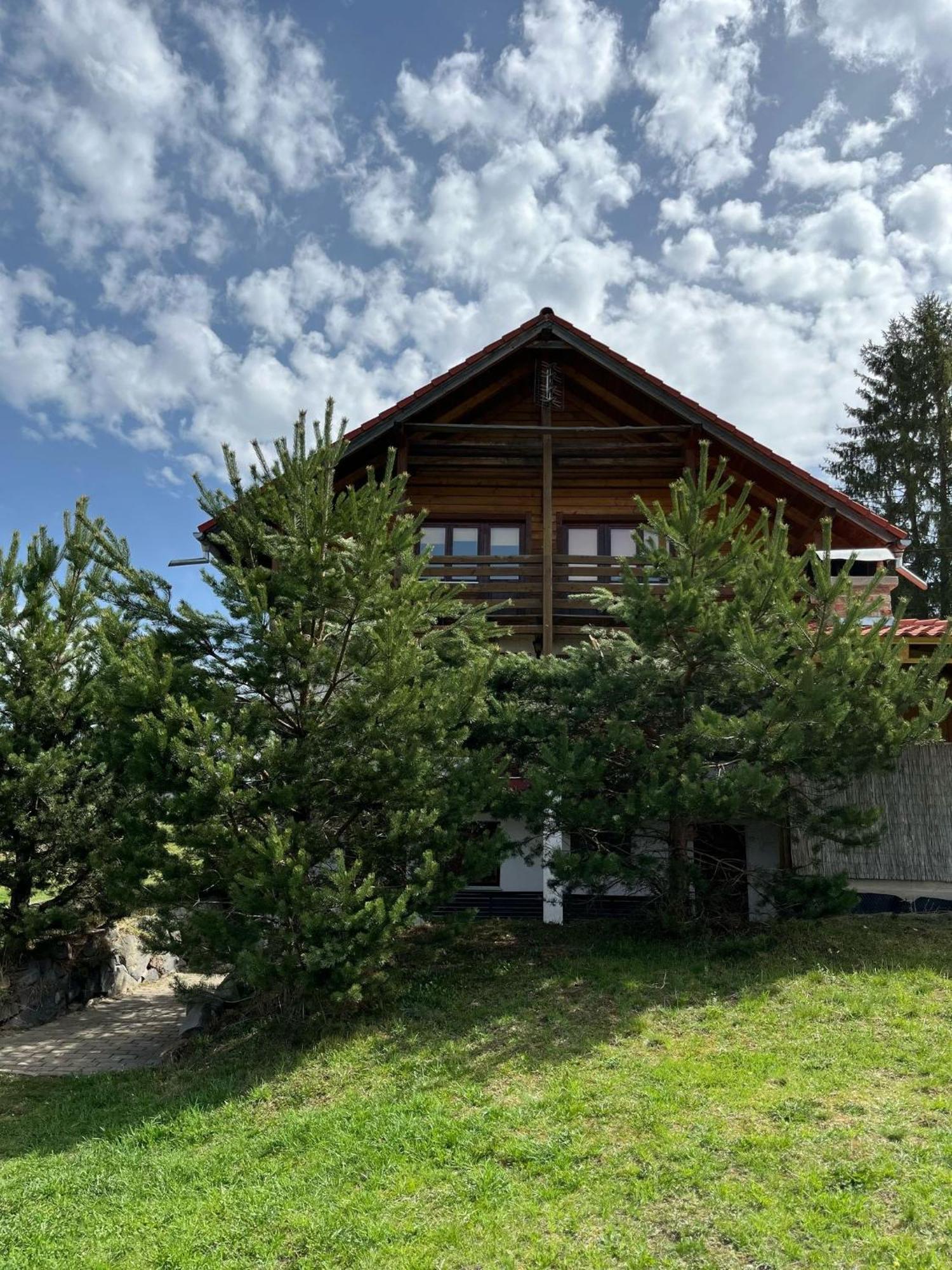 Casa Alpin Villa Izvoru Mureşului Exterior foto